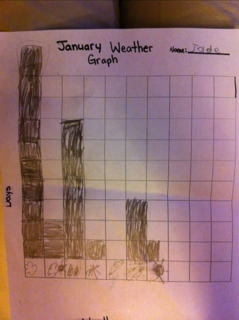 Official January Observations Are In