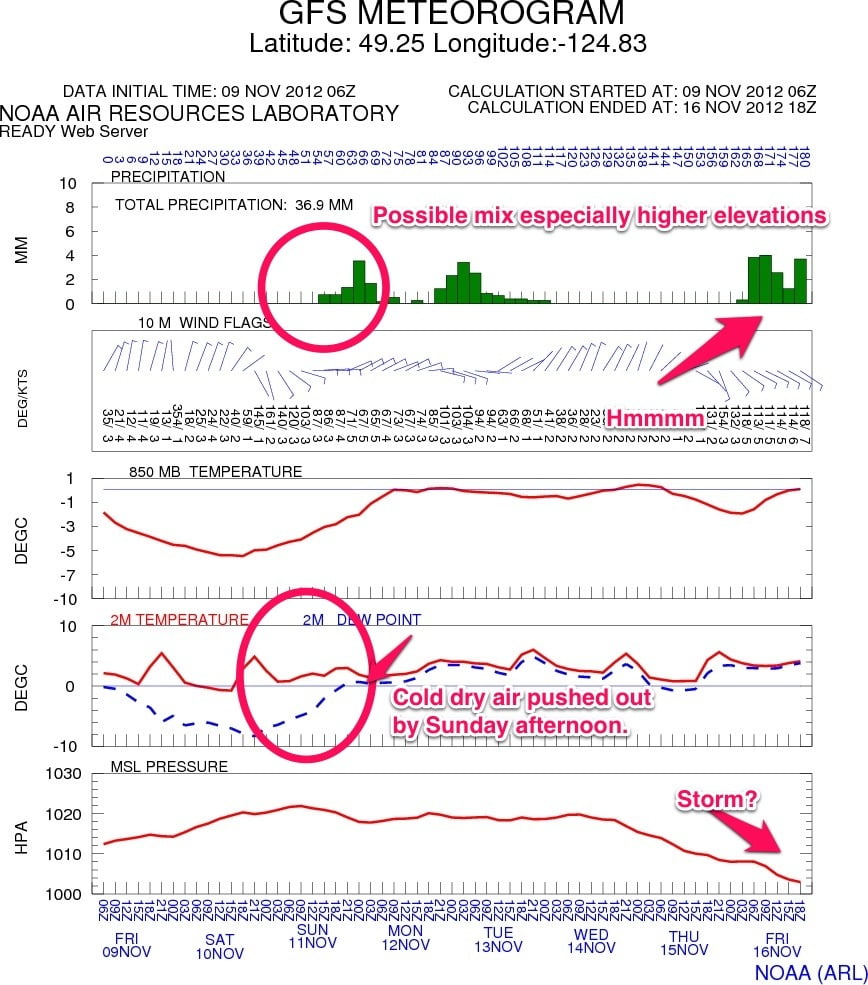 Brrrr!  Fog keeps us steady – Sunday rain or?