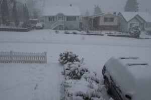 Climate Change in Port Alberni – Snow? What Snow?